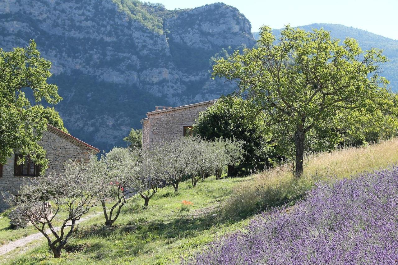 Entre Terre Et Ciel Bed & Breakfast Rémuzat Dış mekan fotoğraf