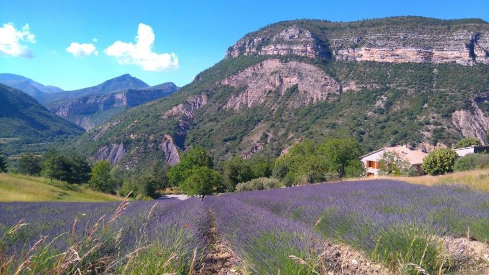 Entre Terre Et Ciel Bed & Breakfast Rémuzat Dış mekan fotoğraf